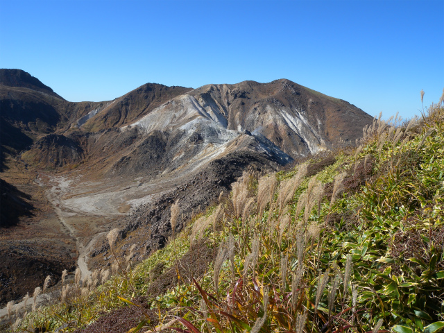e0272335_5334074.jpg