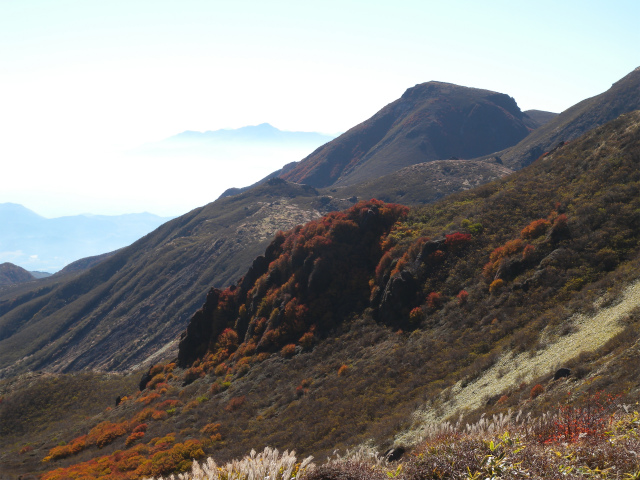 e0272335_5482778.jpg