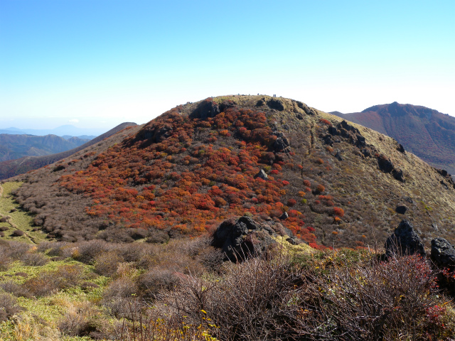 e0272335_5584711.jpg