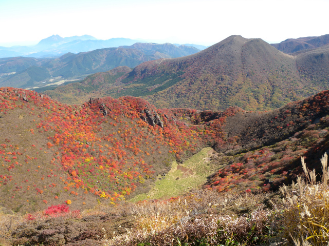 e0272335_8303176.jpg