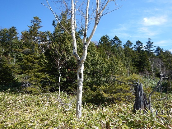 e0272042_20402205.jpg