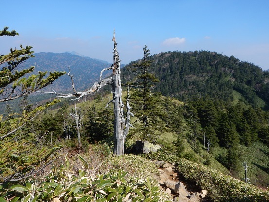 e0272042_20403369.jpg