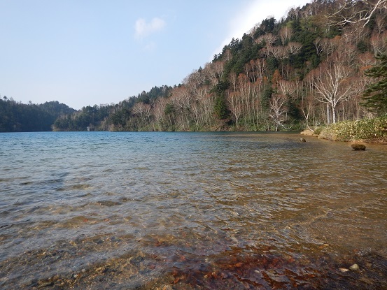 e0272042_20403838.jpg