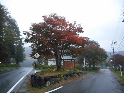 a0124543_1195288.jpg