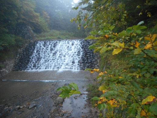 a0124543_19241423.jpg