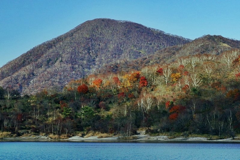b0122448_20251125.jpg