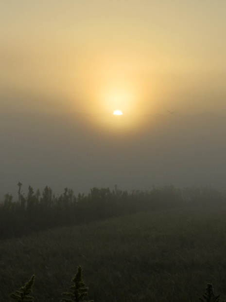 f0214649_15411810.jpg