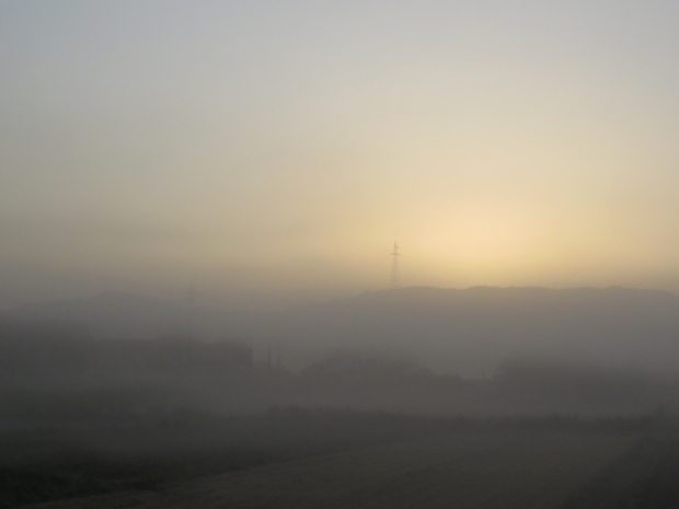 f0214649_1541238.jpg