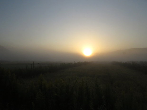 f0214649_15415817.jpg