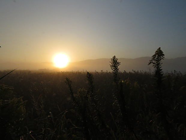 f0214649_15421269.jpg