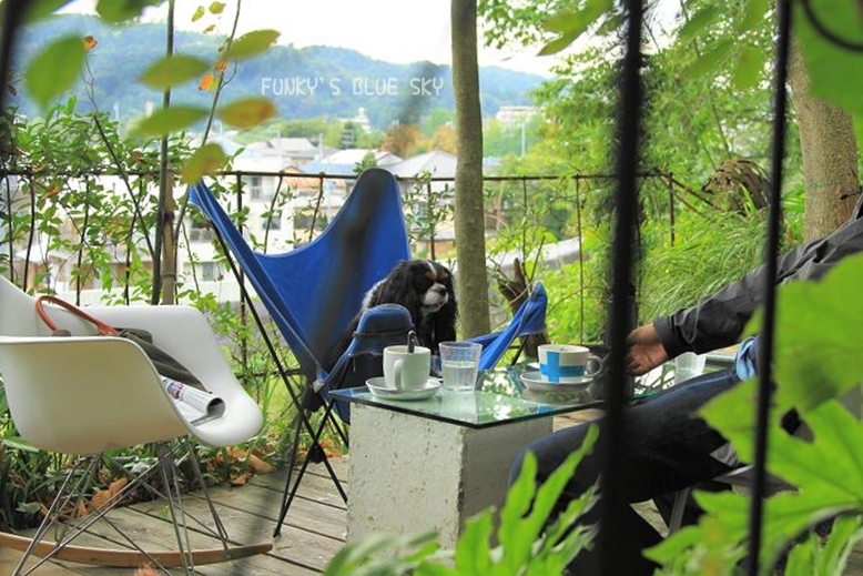 c0145250_10484890.jpg