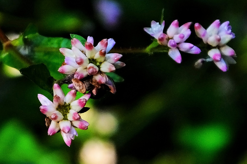 b0236251_11423539.jpg