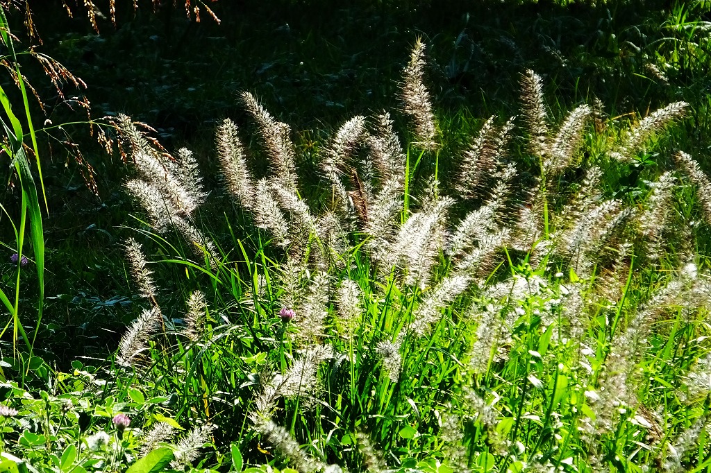 b0236251_11463322.jpg