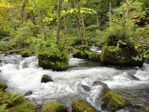 c0179351_19355713.jpg