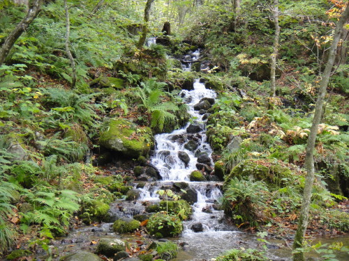 c0179351_19360664.jpg