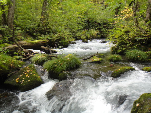 c0179351_19362547.jpg