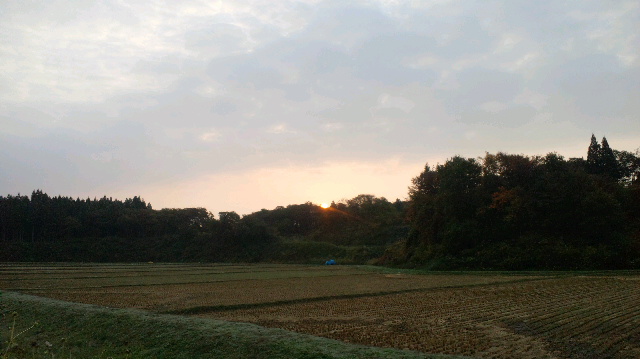 b0311459_7539100.jpg