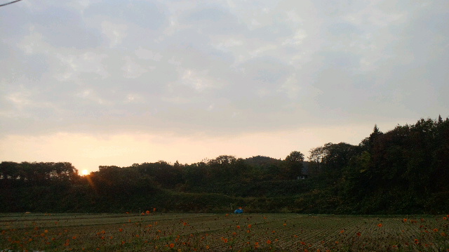 b0311459_75393.jpg