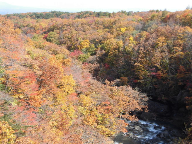 c0324959_08025617.jpg