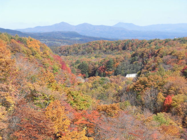 c0324959_08035133.jpg