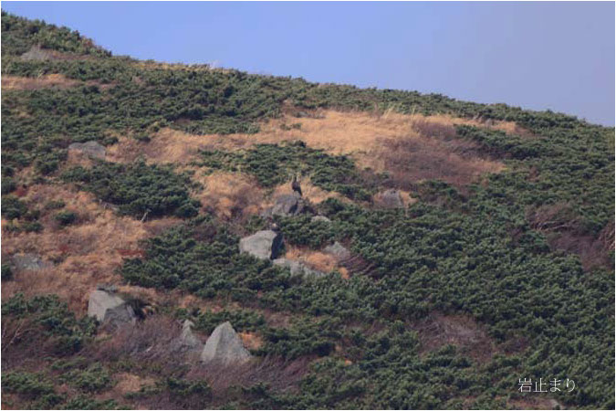 c0061761_724717.jpg