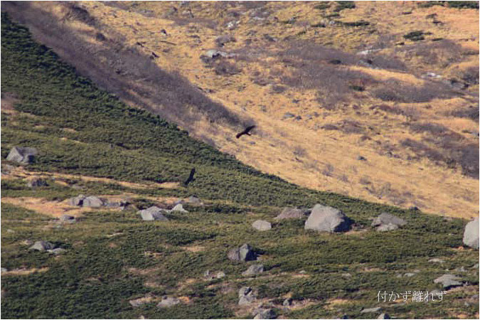 c0061761_744458.jpg