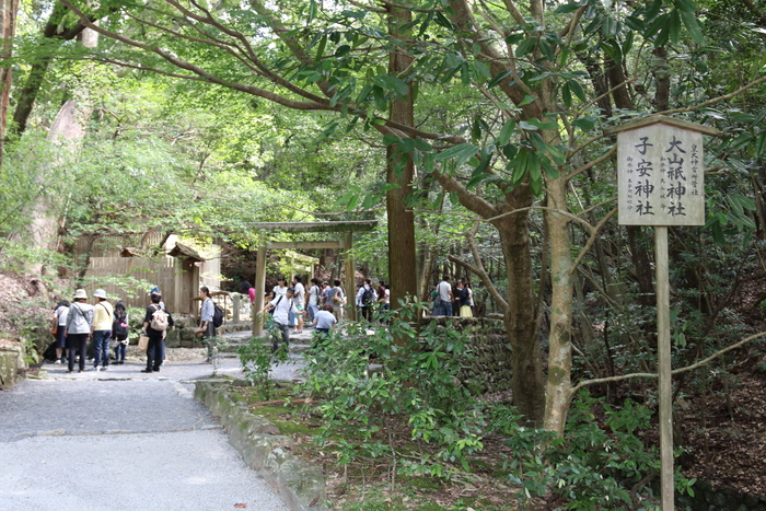d0152261_2322438.jpg