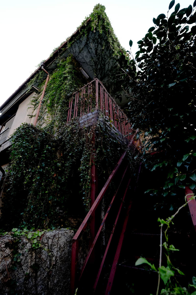 c0084666_00371787.jpg