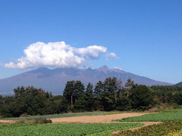 c0166668_2244352.jpg
