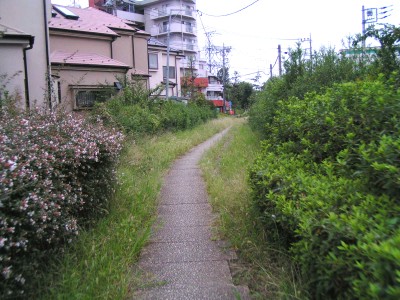 c0112172_23191865.jpg