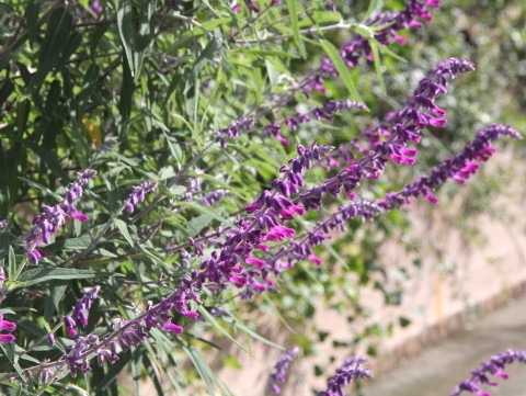 e0154682_18071745.jpg