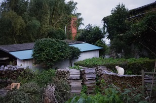 f0226293_7395117.jpg