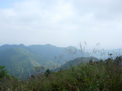 d0129295_1511641.jpg