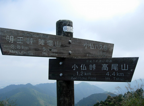 d0129295_151271.jpg
