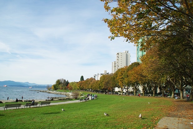 f0038904_1025629.jpg