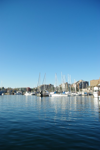 f0038904_11172899.jpg