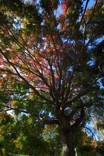 a0251508_2011410.jpg