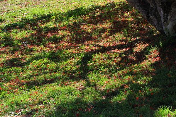a0251508_201322.jpg