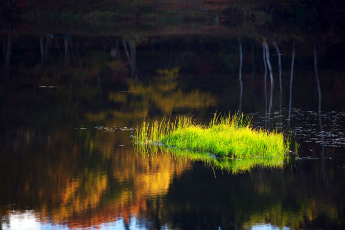 a0263109_10211212.jpg