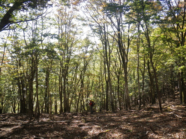 d0006512_00293938.jpg
