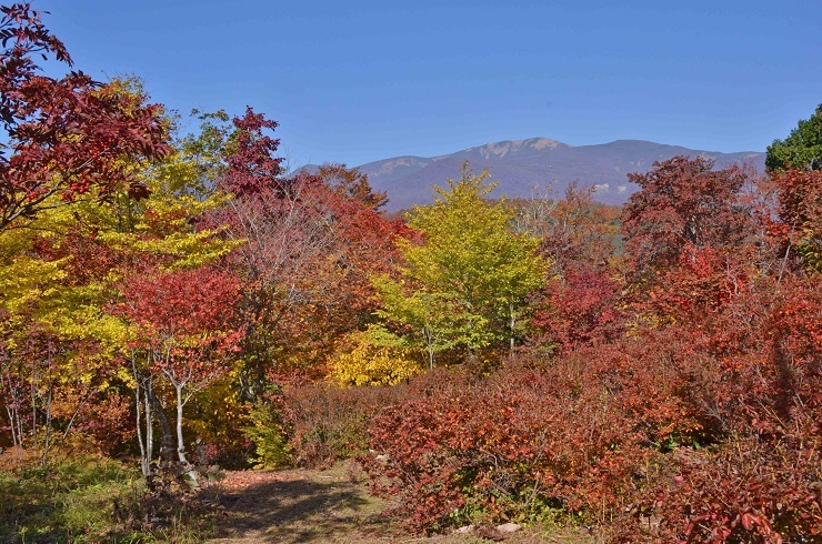 e0349817_21311097.jpg