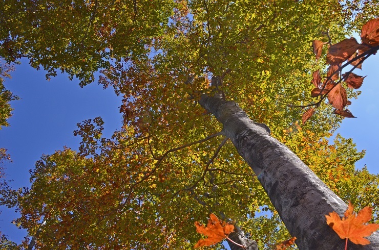 e0349817_21312800.jpg