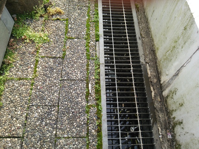 c0236527_1227217.jpg
