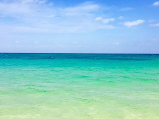 c0051529_16365877.jpg
