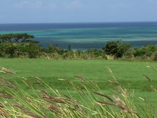 c0051529_16443084.jpg
