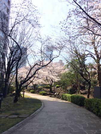 c0177332_05015278.jpg