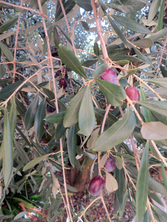 f0234936_529524.jpg