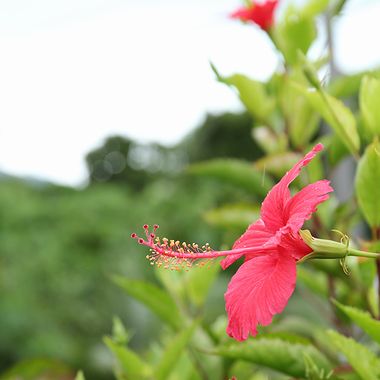 c0148238_14573750.jpg
