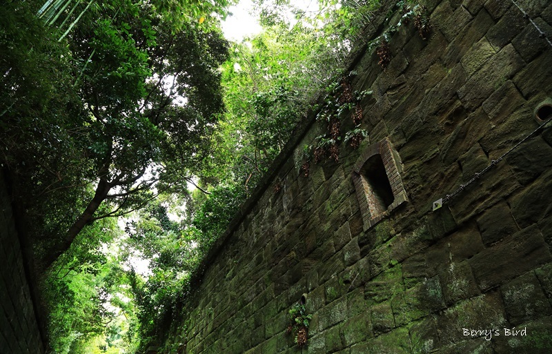e0173743_00385149.jpg