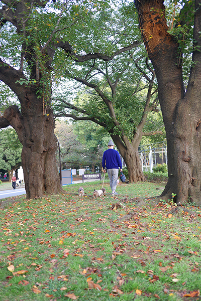 f0166645_23204219.jpg